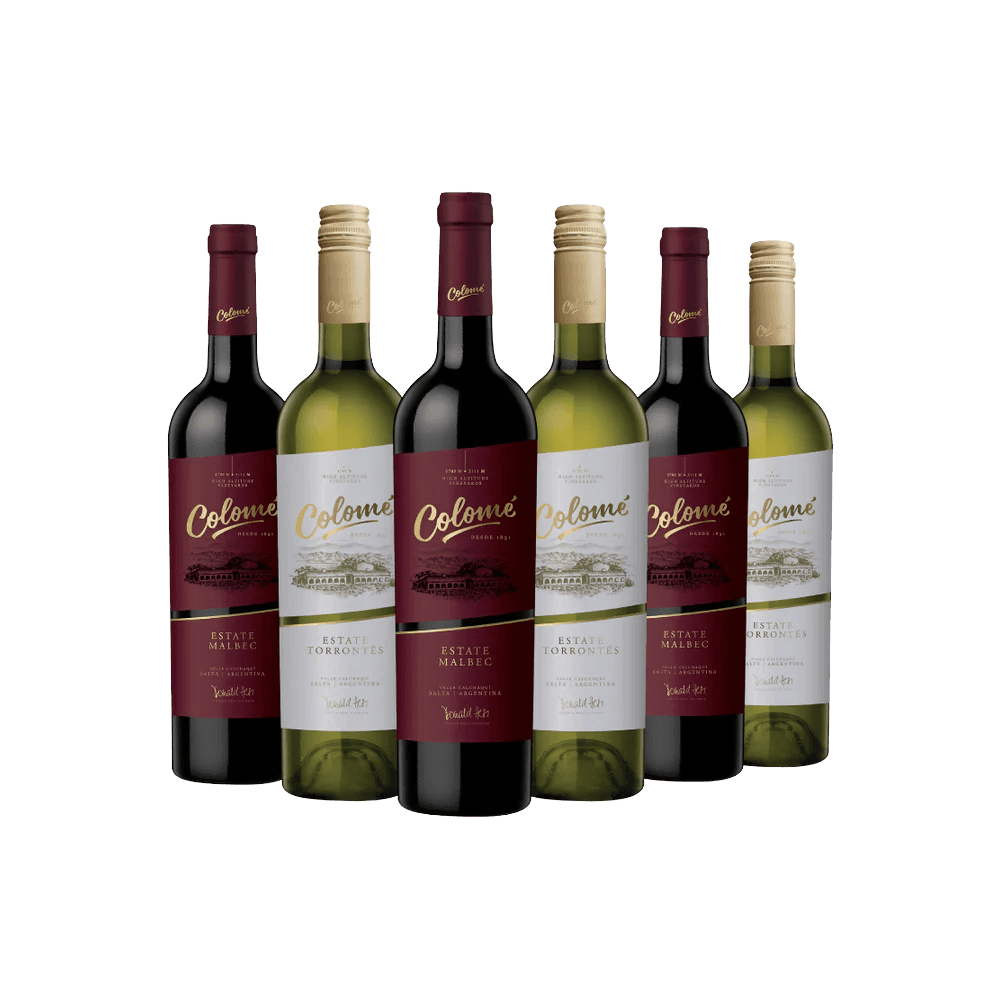 Pack de 6 botellas de vino Malbec argentino de la región de los Altos Valles Calchaquien en la provincia de Salta , listo para la compra online en vinosargentinos.com